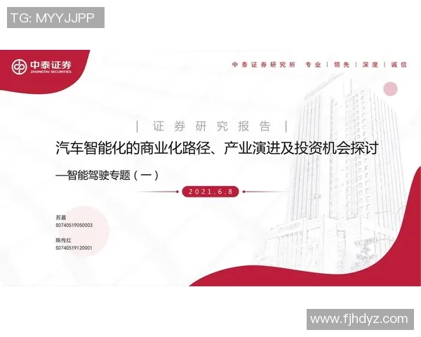 西安排球队个人能力分析与战术配合的深度探讨