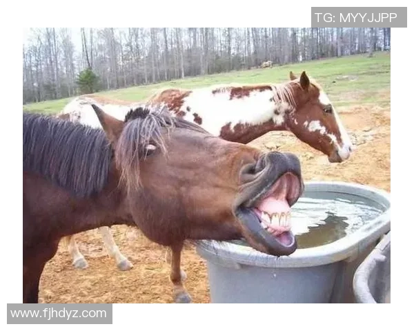 足球明星的谐音趣谈让你笑出声的搞笑瞬间与经典时刻